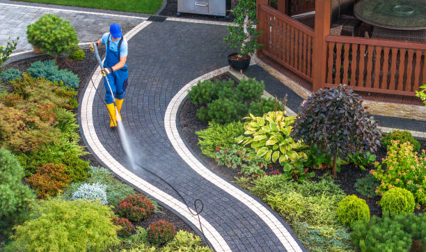 Best Best Pressure Washing Companies  in Prospect, PA